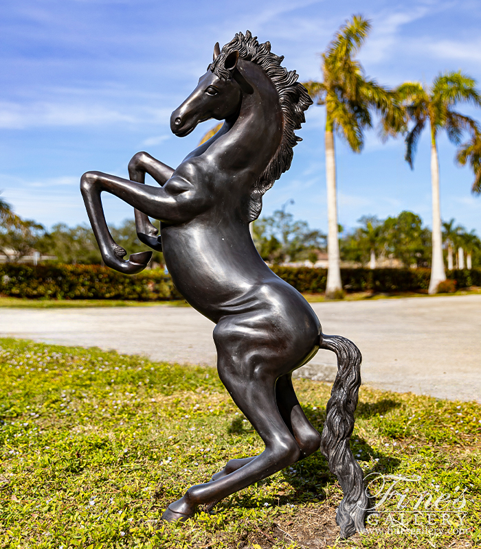 Bronze Statues  - Rearing Horse Bronze Statue - BS-888